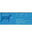 RC Pets Teal Adventure Kitty Harness