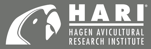 Hari