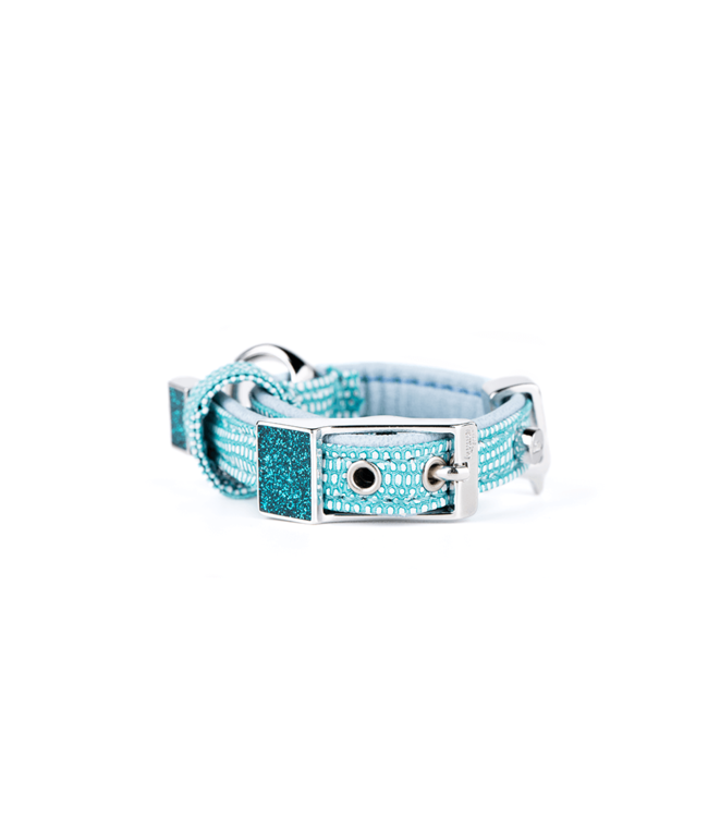 MyFamily Saint Tropez Dog Collar in Fine Crafted Turquoiser Leather