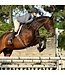 Professional's Choice SMX English Cinch