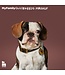 MyFamily Bilbao Dog Leash in Fine Crafted Brown Leather