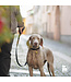 MyFamily Ascot Dog Collar in Greased Italian Black Leather