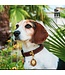 MyFamily Bilbao Dog Collar in Fine Crafted Brown Leather