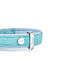 MyFamily Saint Tropez Dog Collar in Fine Crafted Turquoiser Leather