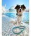 MyFamily Saint Tropez Dog Collar in Fine Crafted Turquoiser Leather