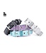 MyFamily Saint Tropez Dog Collar in Fine Crafted Turquoiser Leather