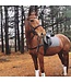 Ogilvy Equestrian Grey Dressage BabyPad