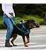 RC Pets Black Tempo No Pull Dog Harness
