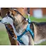 RC Pets Olive Tempo No Pull Dog Harness