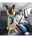 RC Pets Attache de Sécurité Ajustable pour Voiture