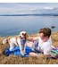 RC Pets Gallery Zephyr Cooling Bandana