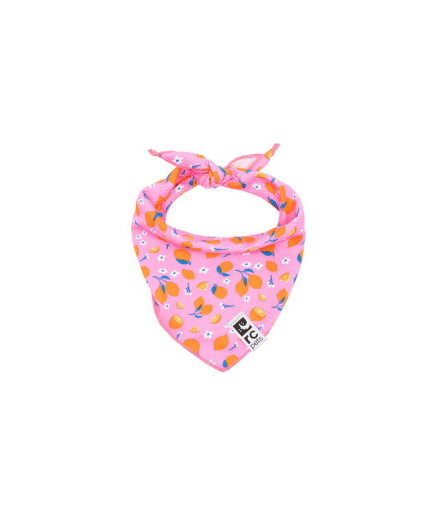 RC Pets Bandana Rafraîchissant Zephyr Zesty