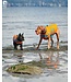 RC Pets Veste de flottaison Tidal Life pour Chien