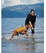 RC Pets Canine Tidal Life Vest