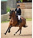 Ogilvy Equestrian Bonnet Long Tie-Down Noir