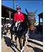 Ogilvy Equestrian Bonnet Long Tie-Down Gris