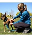 RC Pets Collier Primary Clip Dark Teal