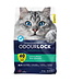 Intersand Litière OdourLock 40jours Multi-Chats