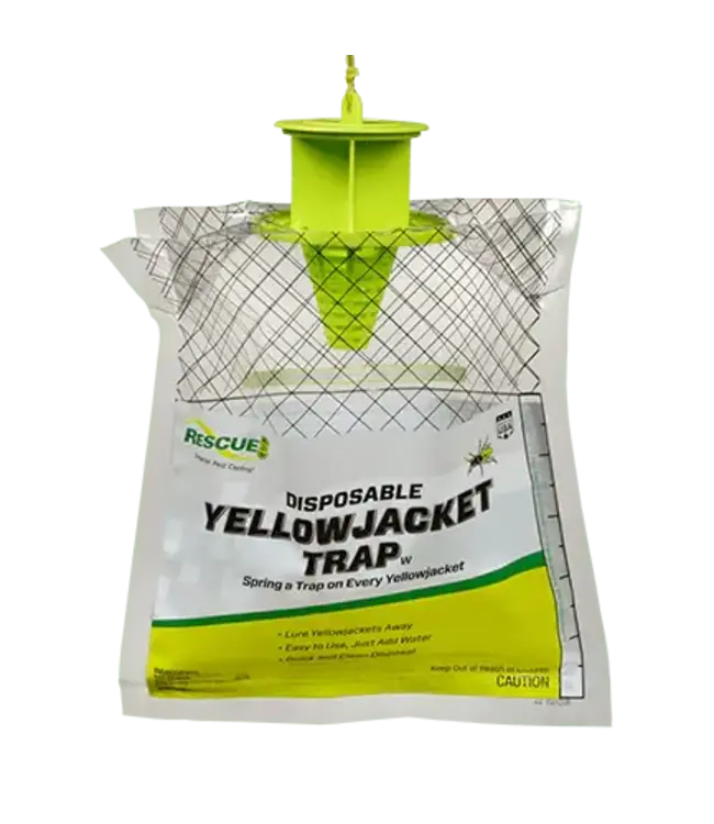 RESCUE Yellowjacket trap