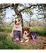 Oven-Baked Tradition All Natural Grain-Free Beef Liver Treats