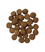 PetCurean GO! Digestion + Gut Health Salmon Recipe with Ancient Grains