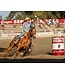 FLAIR Bande Nasale pour Chevaux