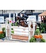 FLAIR Bande Nasale pour Chevaux