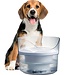 Zeus Fresh & Clear Fountain with Splash Guard