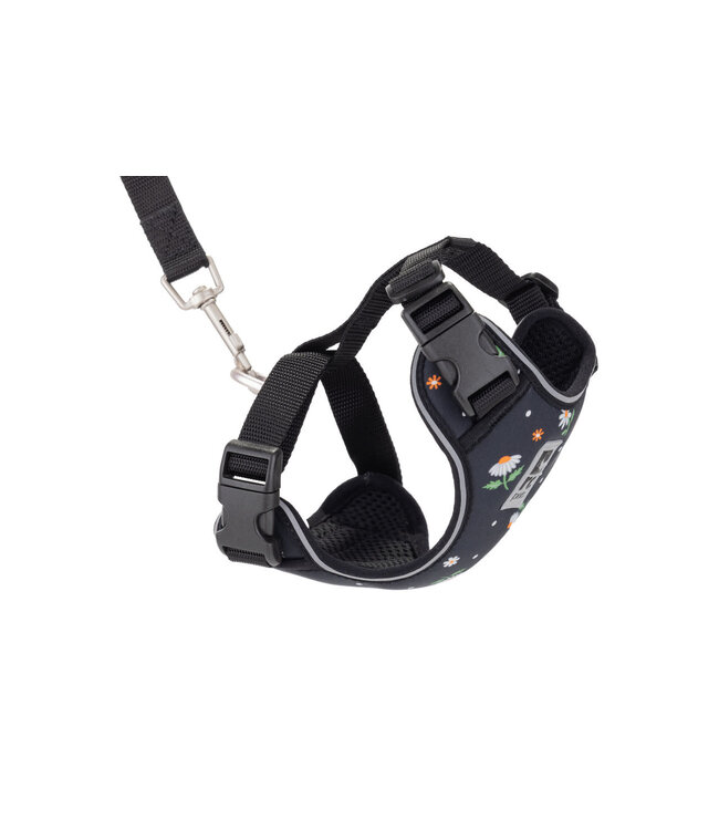 RC Pets Daisies Adventure Kitty Harness