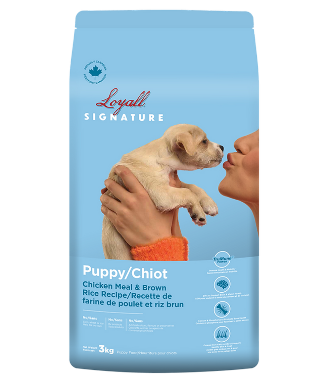 Loyall Chiot - Toutes races