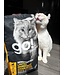 PetCurean GO! Ingrédients Limités Sans Grains pour Chat au Canard