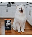 PetCurean GO! Solutions Weight Management + Joint Care