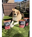 PetCurean GO! Benefit Chews Ingrédients Limités pour Chien