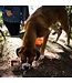 PetCurean GO! Sensitivities TetraPak Ingrédients Limités au Canard
