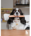 MyFamily Food Hot ID Tag