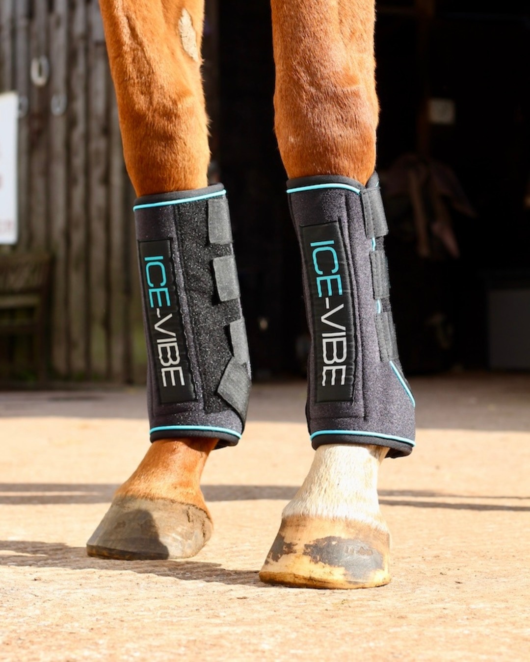 Ice vibe tendon boots deals