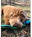 Outward Hound Peluche Invincibles Snake Squeaker