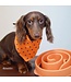 Outward Hound Fun Feeder Slo Bowl Dog Orange Slow Feeder