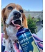 Carino Harp Seal Pets Omega 3 Oil
