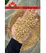 Semican Hullfree Oats Turcotte