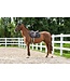 Dy'on Diamond 3 Jumping Saddle Pad