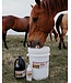 CANPRESSCO Camelina Oil