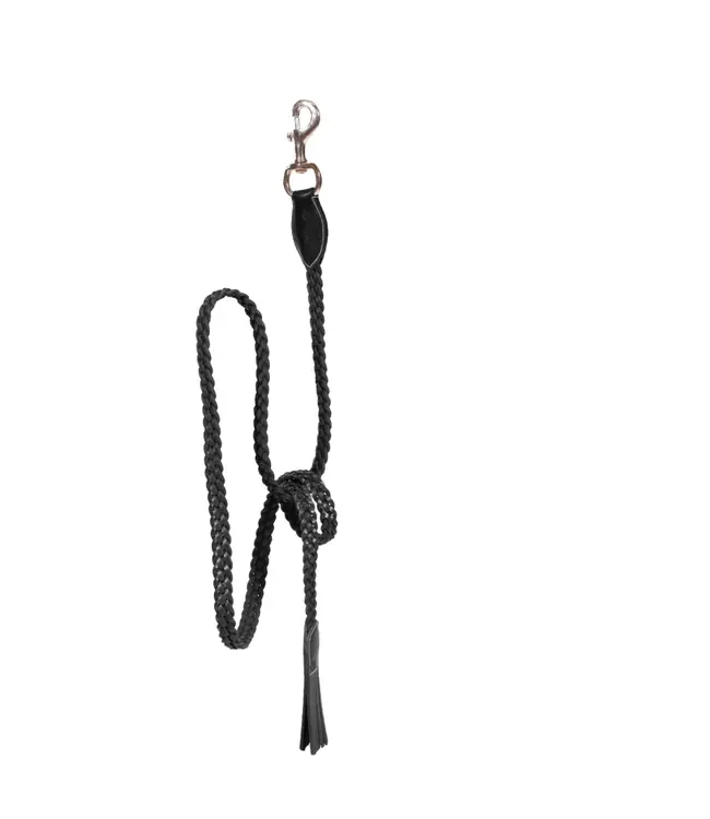 Dy'on Leather Lead Rope Braided with Snap Hook