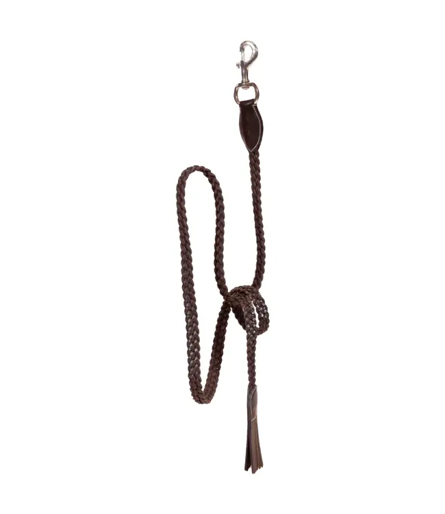 Dy'on Leather Lead Rope Braided with Snap Hook