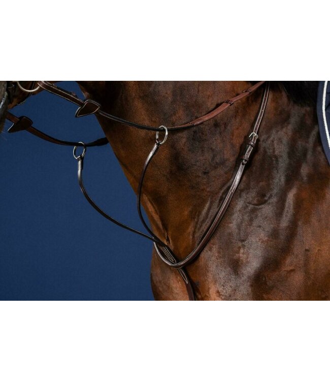 Dy'on US Jumping Running Martingale