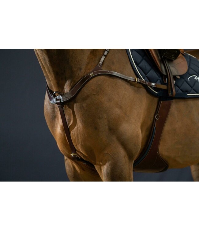 Dy'on Breastplate Anatomique D Collection