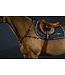 Dy'on Breastplate Anatomique D Collection
