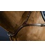 Dy'on Breastplate Anatomique D Collection