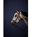Dy'on Bride Hackamore New English