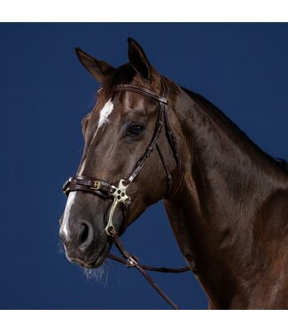 Dy'on New English Hackamore Bridle